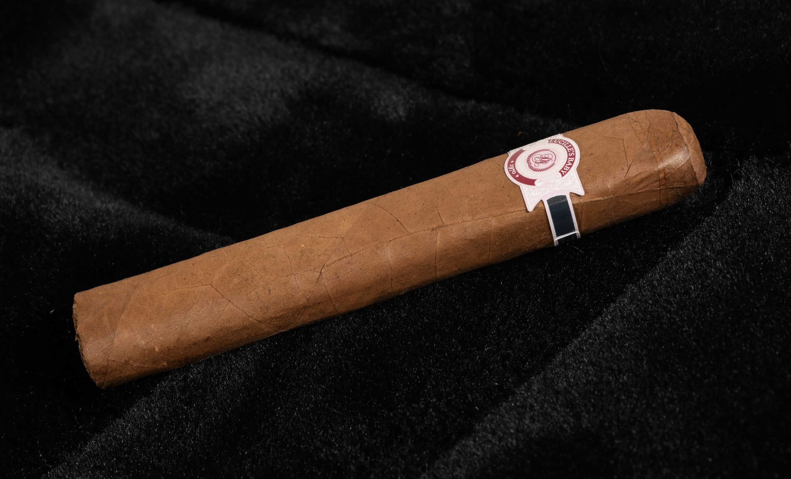 Lucille’s Baby - Image 4